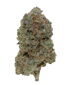 FORBIDDEN CHERRY EXOTIC (7 GRAMS) | Premium Exotic Flower