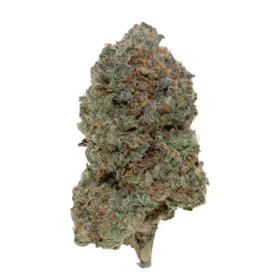 FORBIDDEN CHERRY EXOTIC (7 GRAMS) | Premium Exotic Flower