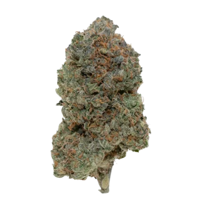 FORBIDDEN CHERRY EXOTIC (7 GRAMS) | Premium Exotic Flower