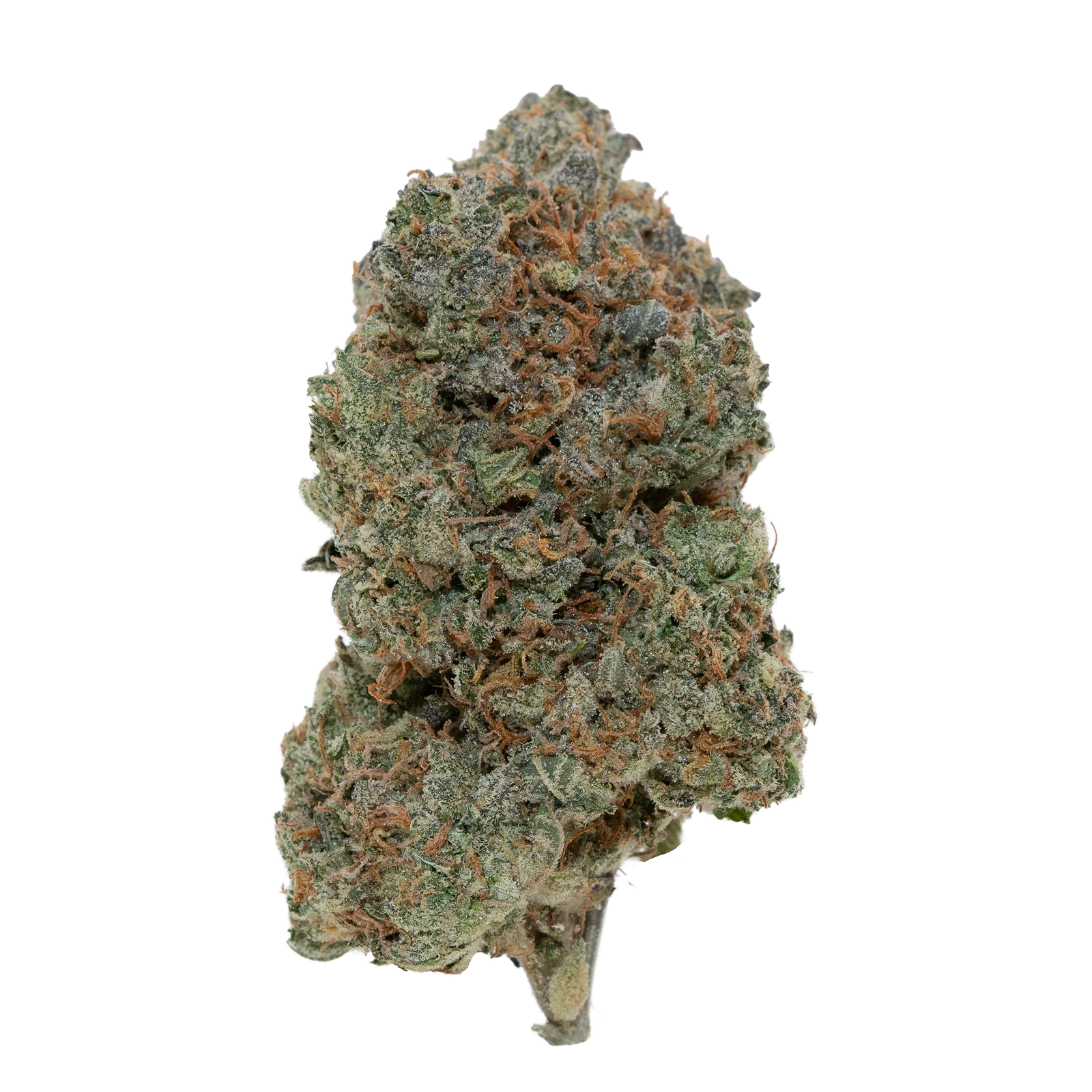 FORBIDDEN CHERRY EXOTIC (7 GRAMS) | Premium Exotic Flower