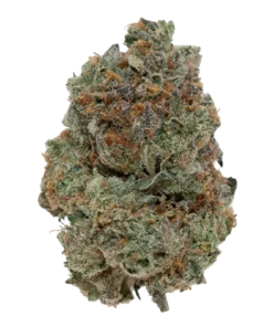 HAN SOLO EXOTIC (7 GRAMS) | Premium Exotic Flower