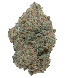 OREOZ BLIZZARD EXOTIC (7 GRAMS) | Premium Exotic Flower