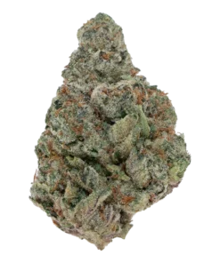 PURPLE PUNCH TOP SHELF (7 GRAMS) | Boba Boyz | Premium Top Shelf Flower