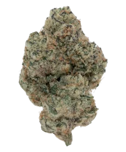 SHANGRI-LA EXOTIC (7 GRAMS) | Premium Exotic Flower