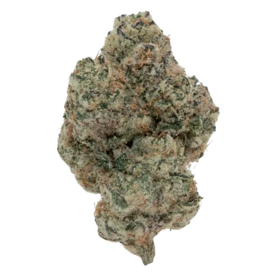 SHANGRI-LA EXOTIC (7 GRAMS) | Premium Exotic Flower