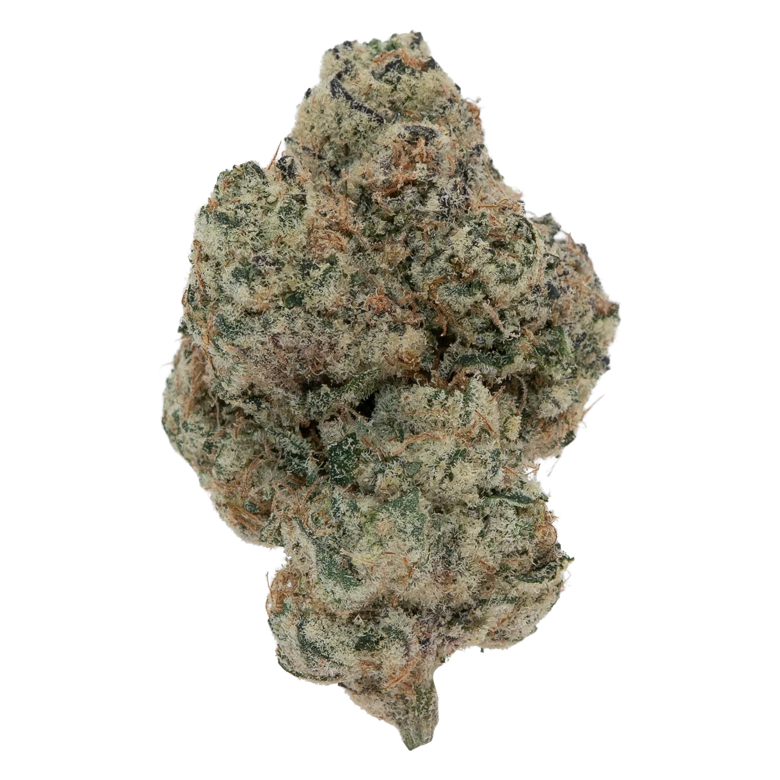 SHANGRI-LA EXOTIC (7 GRAMS) | Premium Exotic Flower