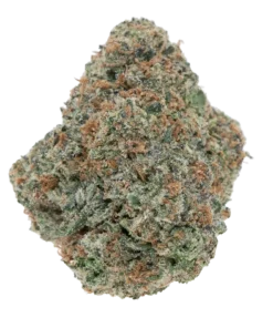 WHITE RUNTZ [EXOTIC] (7 GRAMS) | Premium Exotic Strain | Boba Boyz