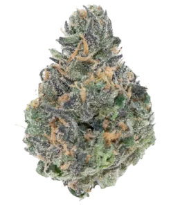 CHERRY HAZE TOP SHELF (7 GRAMS) | Boba Boyz | Premium Top Shelf Flower