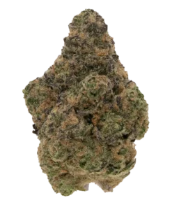 CANAL ST RUNTZ [TOP SHELF] (7 GRAMS) – Boba Boyz